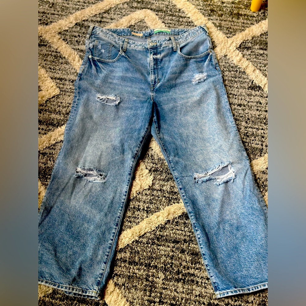 Anthropologie Pilcro Plus Size Distressed Denim Size 18W